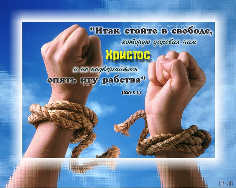 Свобода, свободный?